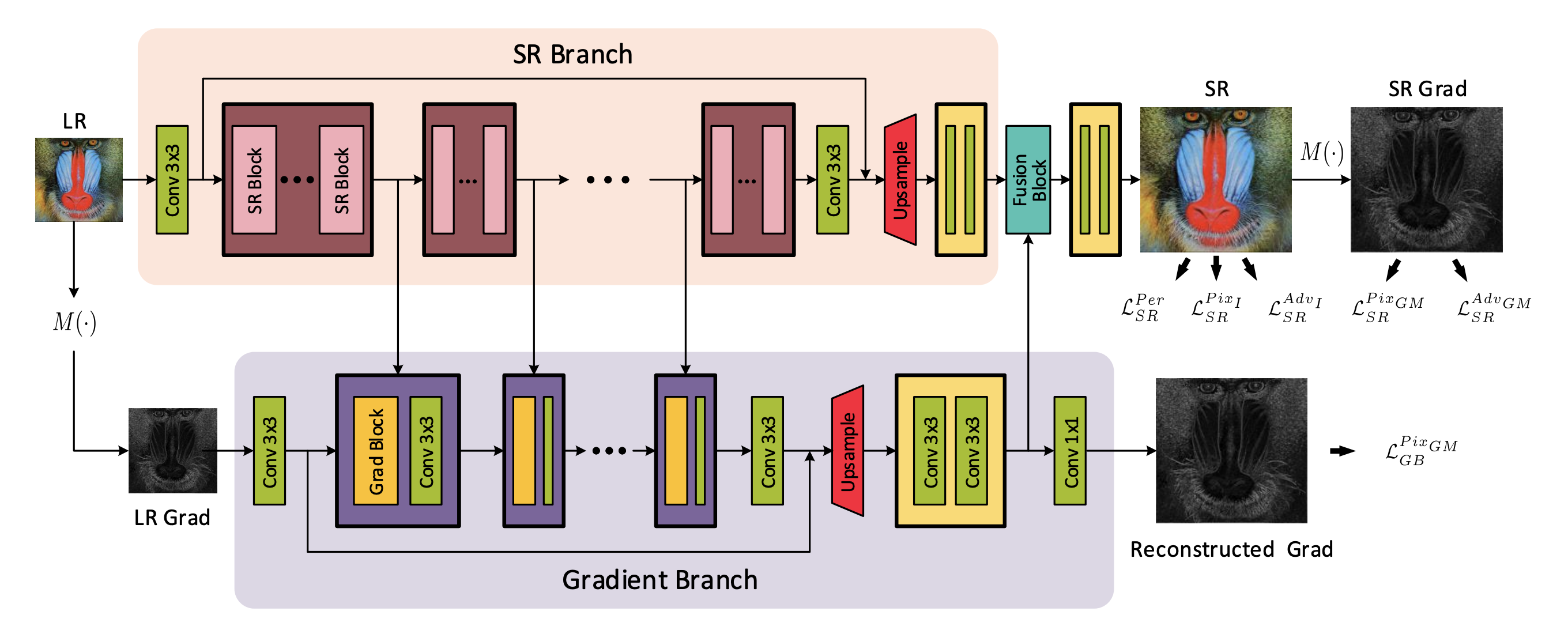 SPSR